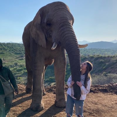 PaulaFrancis123's profile picture. ASN teacher within Armed Forces Families Support Team, supporting Forces Families in schools across Angus.