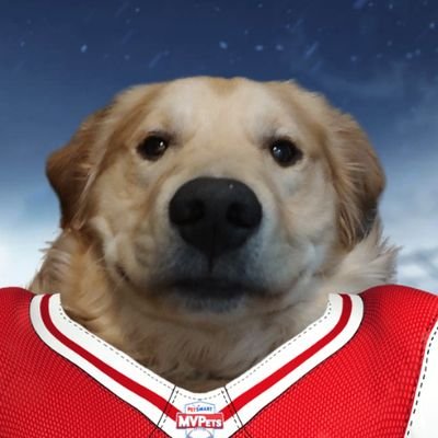 letsgobuffalo4x Profile Picture