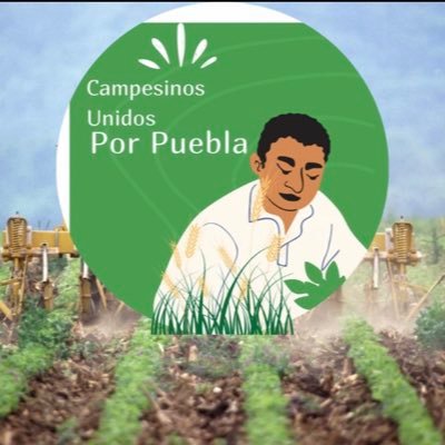Asociación de Campesinos de la Sierra Norte de Puebla, trabajamos en unidad para garantizar apoyos para nuestra cosecha. 🌾🌾