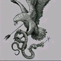 Boualem Slimani (@boualem_slmni) Twitter profile photo