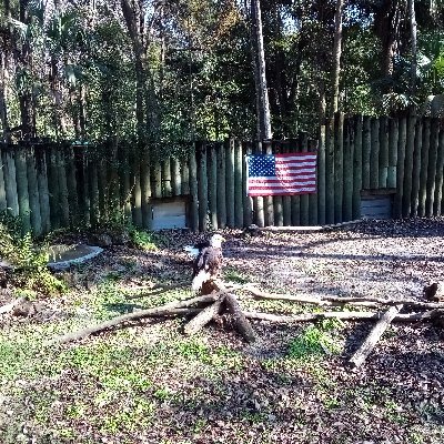 Navy Veteran 30+ Years on the Mississippi Coast.  New chapter in our lives. Margie & Bill off to the wild.