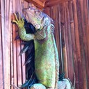 sean burrell - @seanburrrell - Twitter