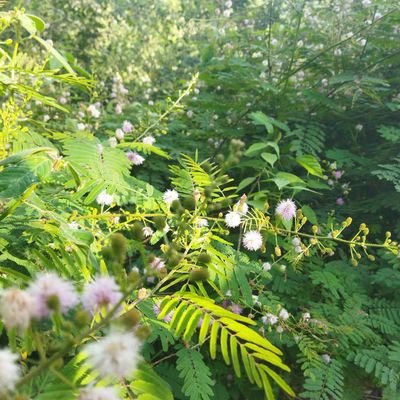 luis_F0159's profile picture. ⚡Vivamos la vida al 100, sin importar que!!✨