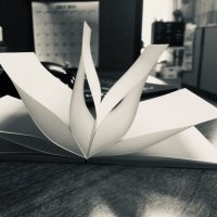 littleblkrunt (@littleblkrunt) 's Twitter Profile