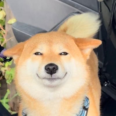 CapFuture_'s profile picture. old account, new account: @nico_the_egg