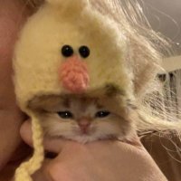 klute posting (@mehrfth) 's Twitter Profile Photo klute posting (@mehrfth) 's Twitter Profile Photo