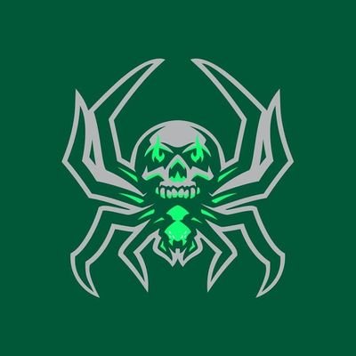 RockspiderGames Profile Picture