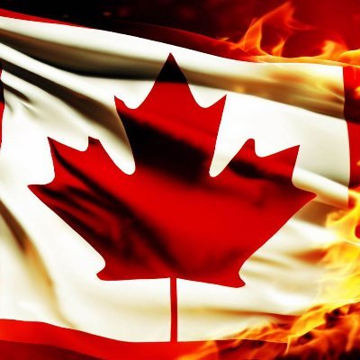 DissidentCanada Profile Picture