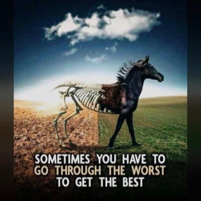 oparapresh360's profile picture. 