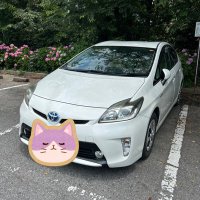 しみぴょん😆🎹🎸(@prius1227) 's Twitter Profile Photo