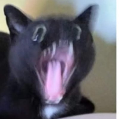 aaron__dguez_'s profile picture. 