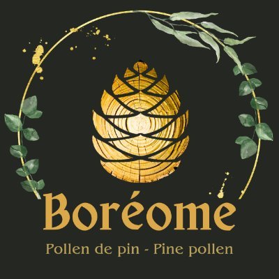 boreomeQC Profile Picture