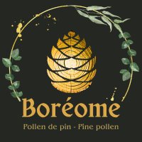 Boreome 🌿 Pine pollen co. (@boreomeqc) 's Twitter Profile