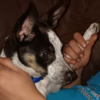 unkledonkey951's profile picture. believer husband father framer wise ass
Here to socialize, not monetize.
Bang Bang Niner Gang