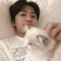 ⋆ sol ⋆ (@pasdejaem) 's Twitter Profile