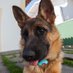 Jose Eduardo (@zedu160869) Twitter profile photo Jose Eduardo (@zedu160869) Twitter profile photo
