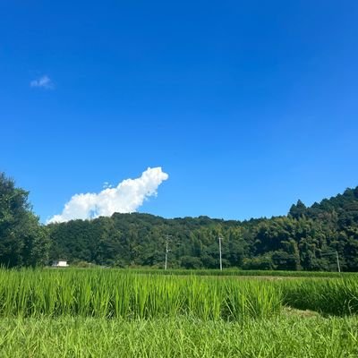 WenGui14366's profile picture. 