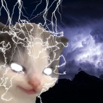 Ratix82408364's profile picture. Shoebill and Ampharos enjoyer | Pokemon Unite garchomp extraordinaire (kinda) | I mostly retweet | I'm a fool. I know nothing