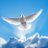 SoulMindScience's profile image