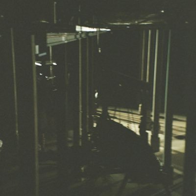 danille234's profile picture. 