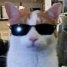 hobiechuu's profile picture. Lubię dużo różnych rzeczy