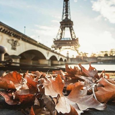 chico_latinito's profile picture. 