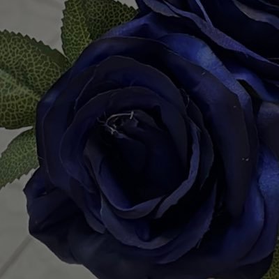 spenditup2002 Profile Picture