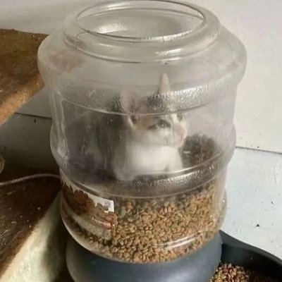 InstaqMor's profile picture. AAAAAA