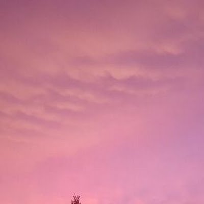 APinter69144's profile picture. 