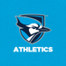 Elmhurst University Athletics (@ElmhurstBluejay) Twitter profile photo