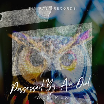 Drum & Bass / Hip Hop Producer 💻🎹 Owner “Sin Raza Records” 🎶 Space👾 Cinema🎬 Mma 🥊 Soccer⚽️