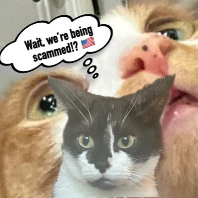 TheAmericanScam's profile picture. They call it the American Dream, because you have to be asleep to believe it 🇺🇸☠️