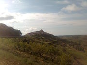 Roman_Serra's profile picture. 