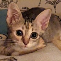 inconsistency (@ucgjhe) 's Twitter Profile