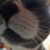 Angie C (@angiec241060) Twitter profile photo Angie C (@angiec241060) Twitter profile photo