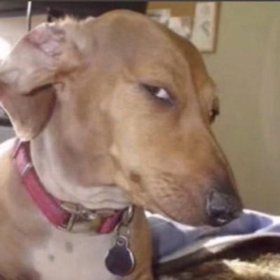 notmimul's profile picture. 