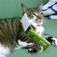 sorairo (@sorairo_08) 's Twitter Profile Photo