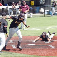 Harrisburg Tigers Scout (@hba_scout) 's Twitter Profile Photo Harrisburg Tigers Scout (@hba_scout) 's Twitter Profile Photo