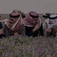 مـشُ۶ان الُعجمـيَ 🇰🇼 (@c8l___) 's Twitter Profile