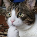 Yoshitaka Ando - @undeux0918 - Twitter