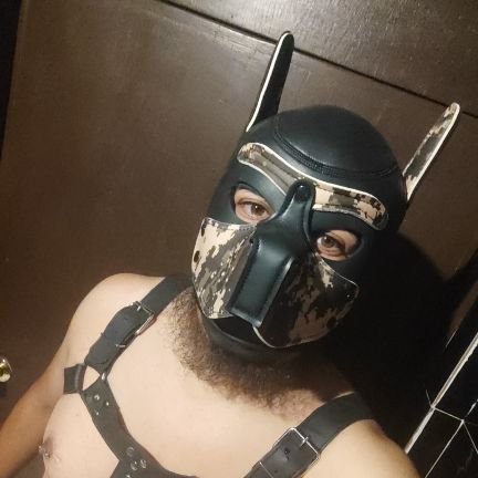 JoseChrist95781's profile picture. 