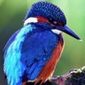 Mathan_Soma's profile picture. Decades in finance, tech, consultancy, strategy, quant and data analytics. Ex everything and always learning new things. My views. No advice. Love data!