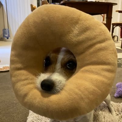 Michael30171233's profile picture. Awesomely Awesome