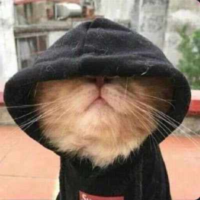 educated_demon's profile picture. Shit🤦🏾‍♂️ #gob3day