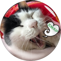ようこ☆ (@yohko405shingo) 's Twitter Profile