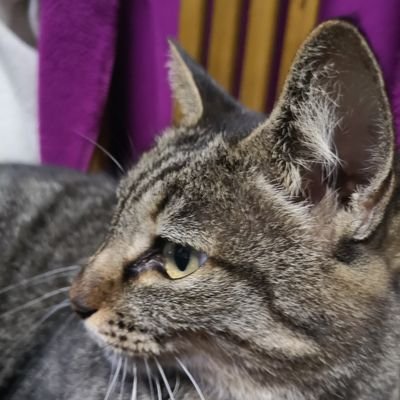 bibimaru100's profile picture. びびまる。