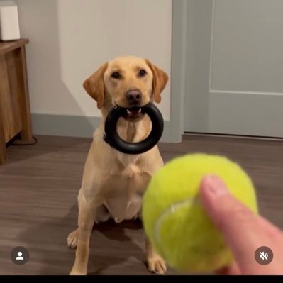 TheRickkSays's profile picture. Philly Born and Raised, UChicago Grad, Arkose Labs Sales Manager