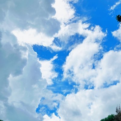 mimla13's profile picture. 