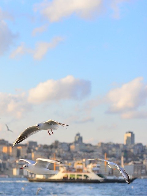 thwisak99662944's profile picture. Those who understand everything are the gentlest and the coldest.