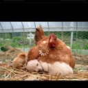 Sandra Beeler - @SandraBeeler - Twitter